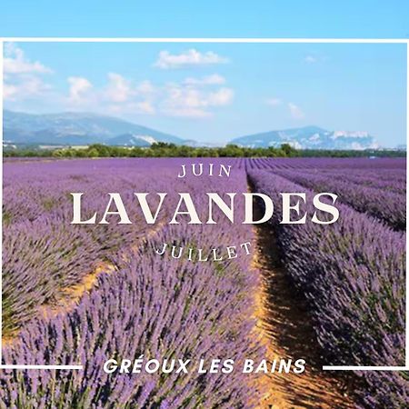 Oasis Tranquille - L'Evasion Au Verdon Gréoux-les-Bains المظهر الخارجي الصورة