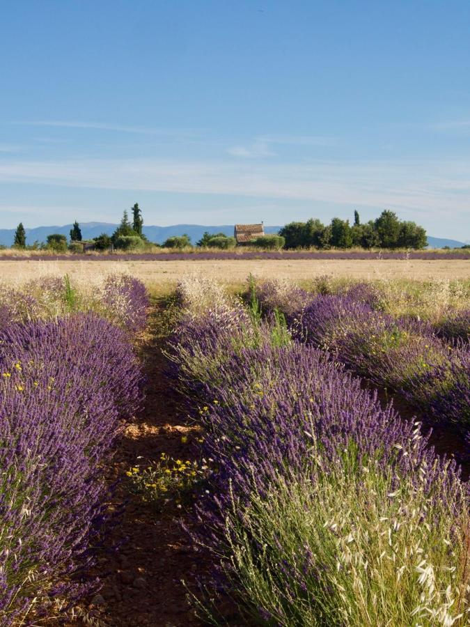 Oasis Tranquille - L'Evasion Au Verdon Gréoux-les-Bains المظهر الخارجي الصورة