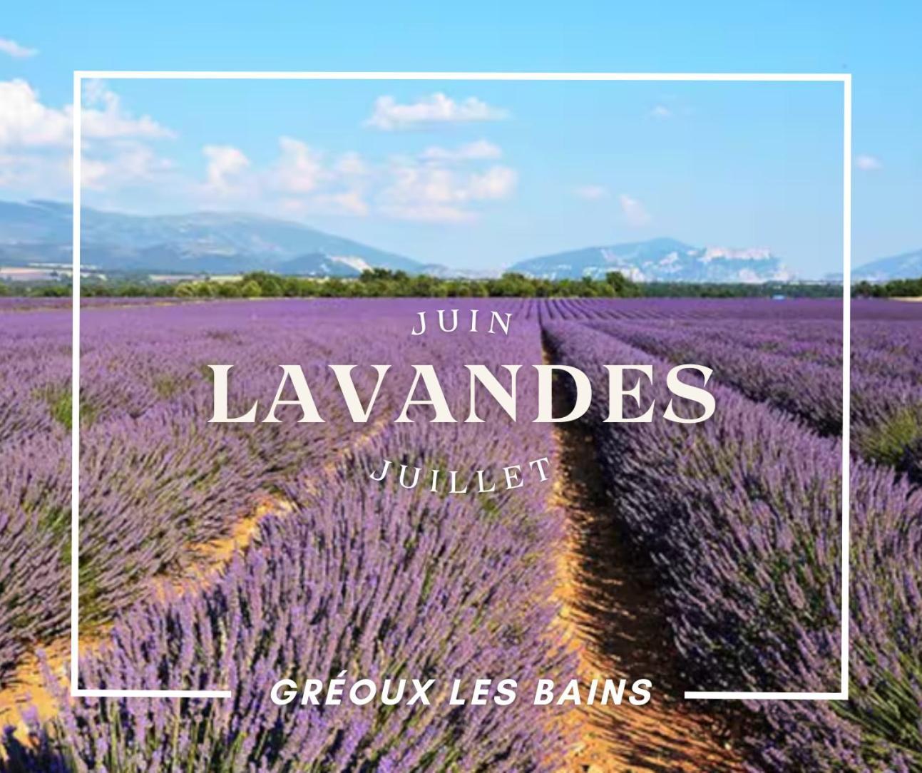 Oasis Tranquille - L'Evasion Au Verdon Gréoux-les-Bains المظهر الخارجي الصورة